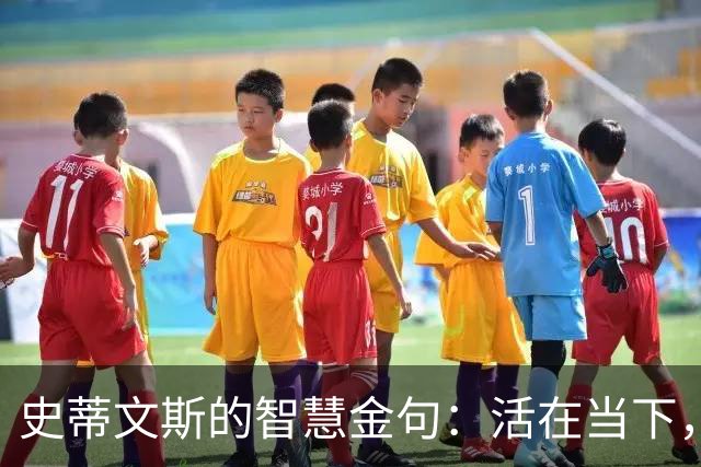 史蒂文斯的智慧金句：活在当下，别做时间的背包客